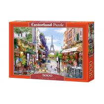 Puzzle 3000 komada Pariz u cvatu