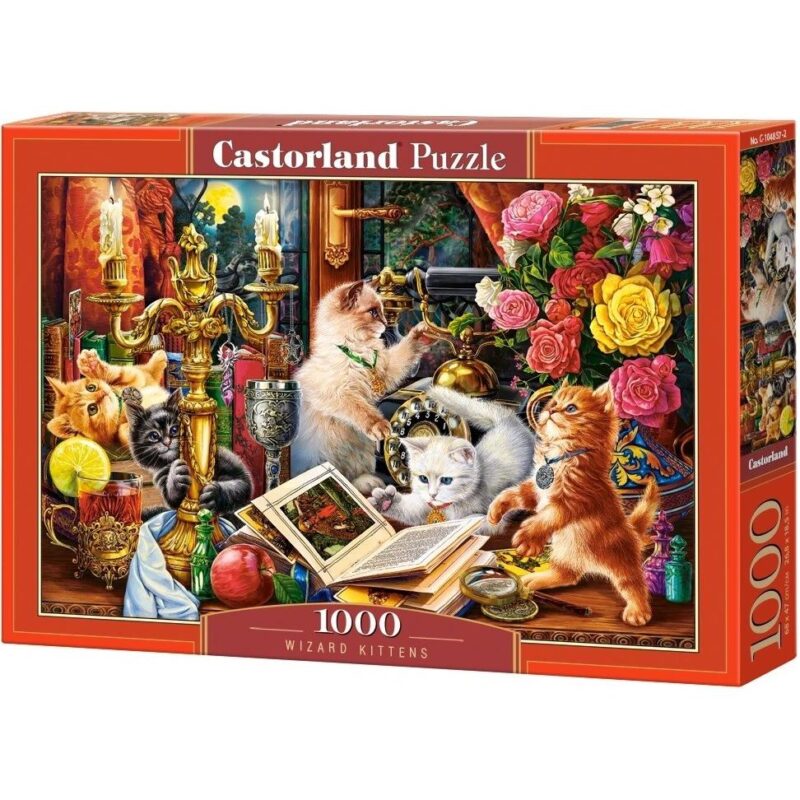 PUZZLE 1000 KOM MAČIĆI ČAROBNJACI